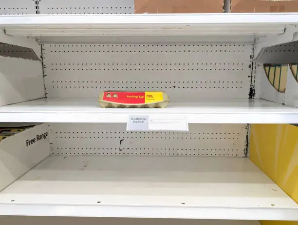 Francia: tensioni sul mercato delle uova, cresce la domanda, rallentano i rifornimenti